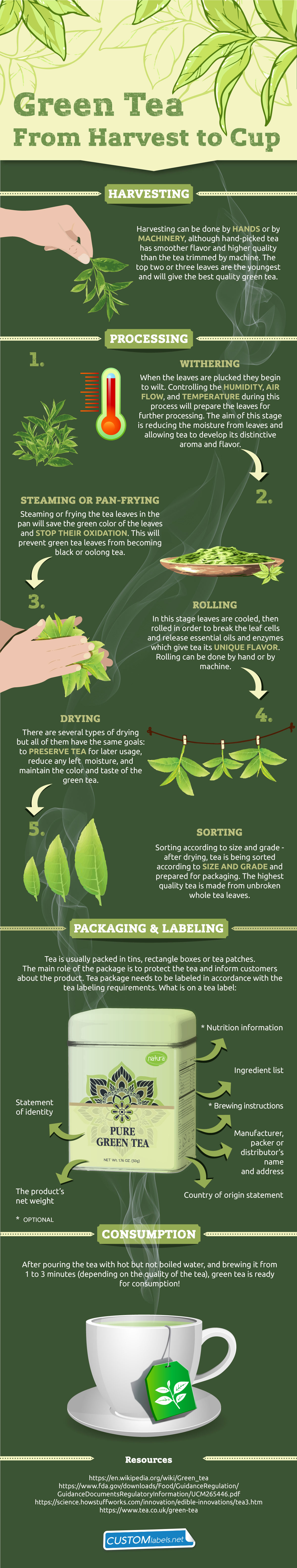 Green Tea Production Journey: From Harvest to Cup