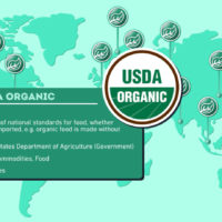 Eco-Labels Around the World [Interactive Infographic]